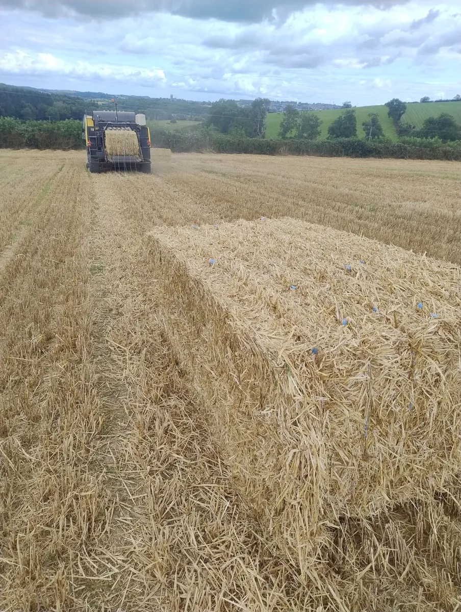 New Holland Square baler BB9080 rotorcut - Image 2