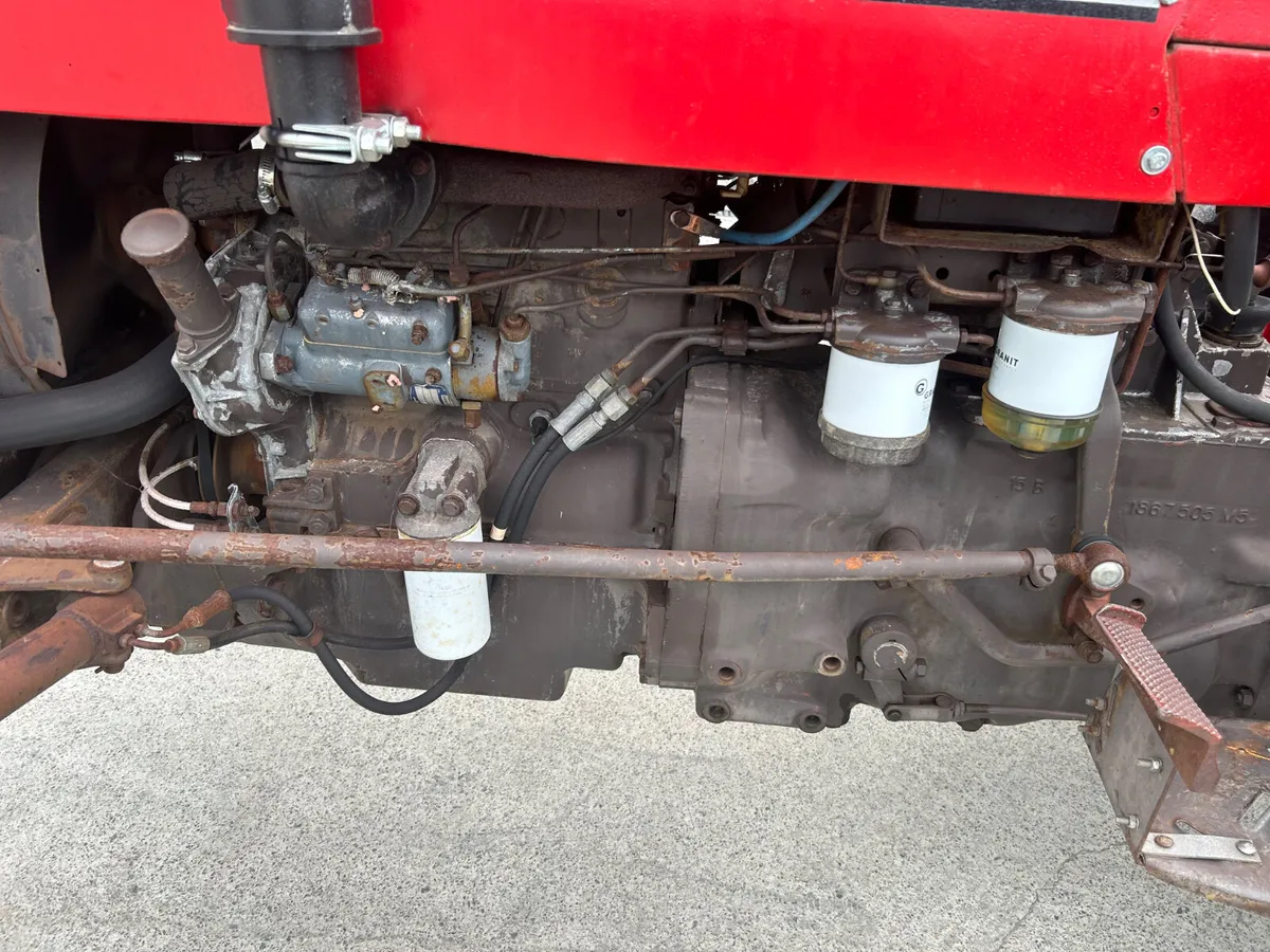 1982 Massey Ferguson 240 - Image 3