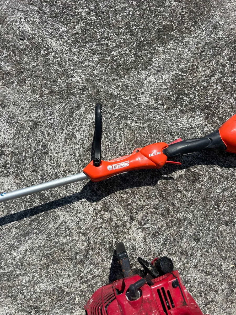 Power washer, strimmers, leaf blower - Image 2