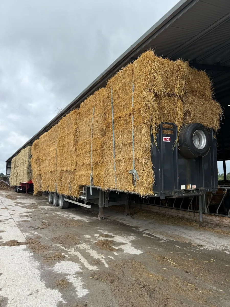 8x4x3 hay &straw - Image 2