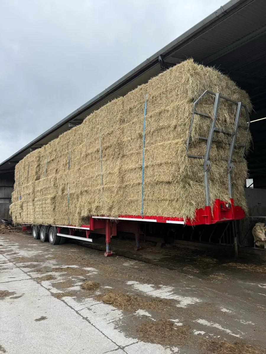 8x4x3 hay &straw - Image 1