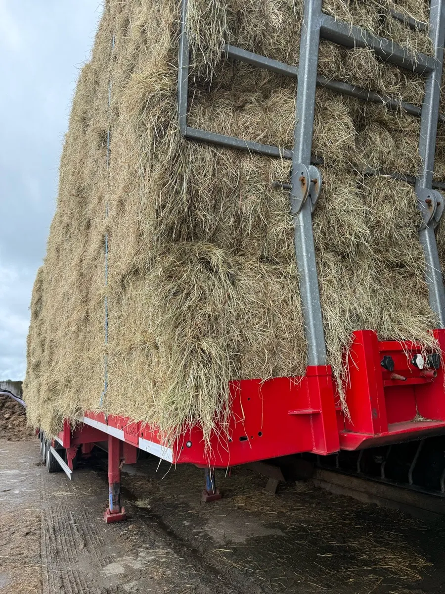 8x4x3 hay &straw - Image 3