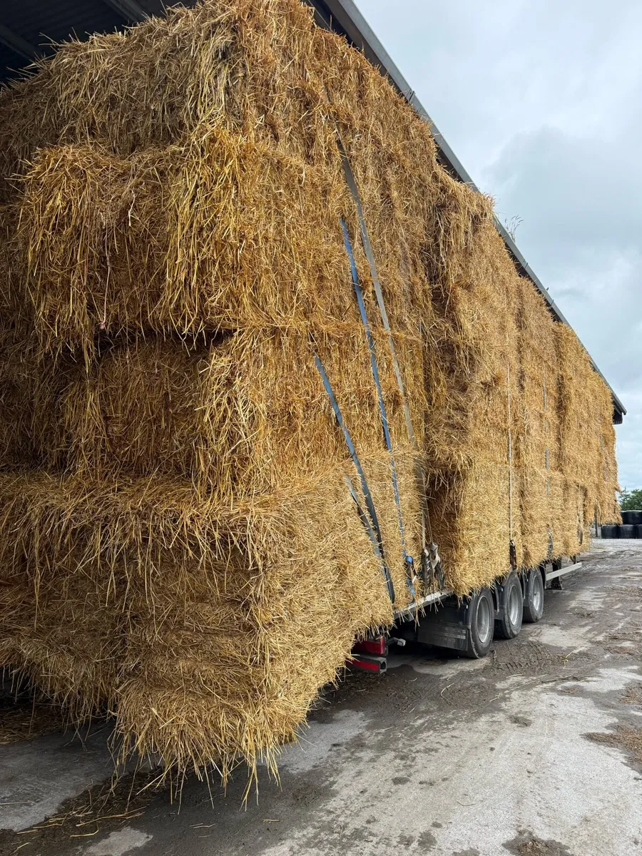 8x4x3 hay &straw - Image 4