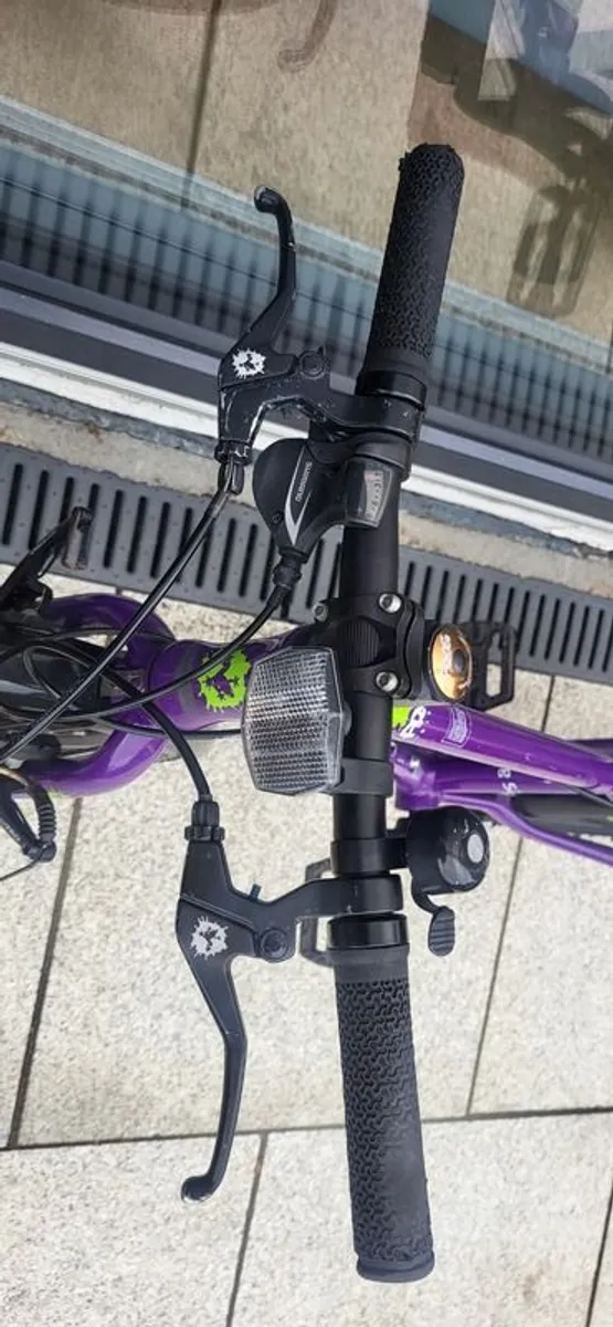 Frog bike 52 - Image 2