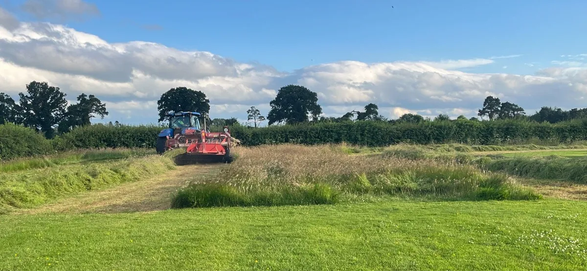 Silage bales for sale - Image 3