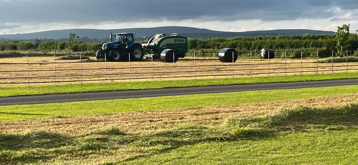 Silage bales for sale - Image 2