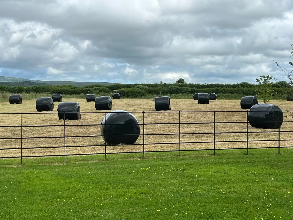 Silage bales for sale - Image 1