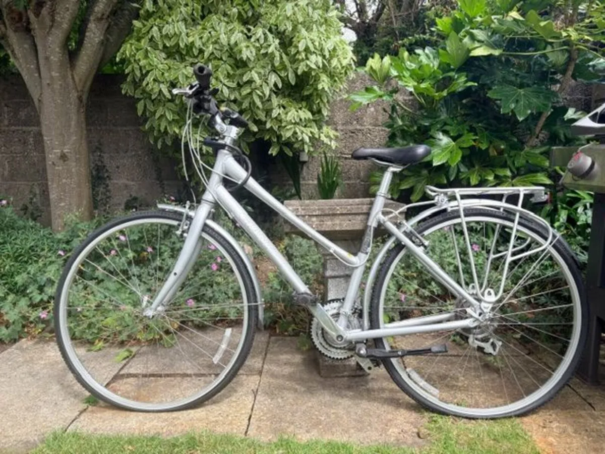 Giant Adult Bike - Image 1