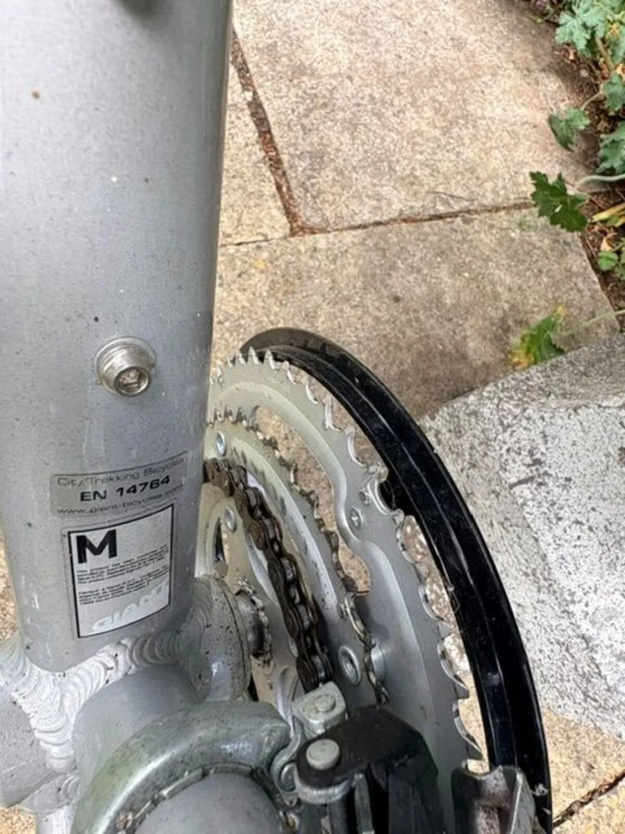 Giant Adult Bike - Image 2