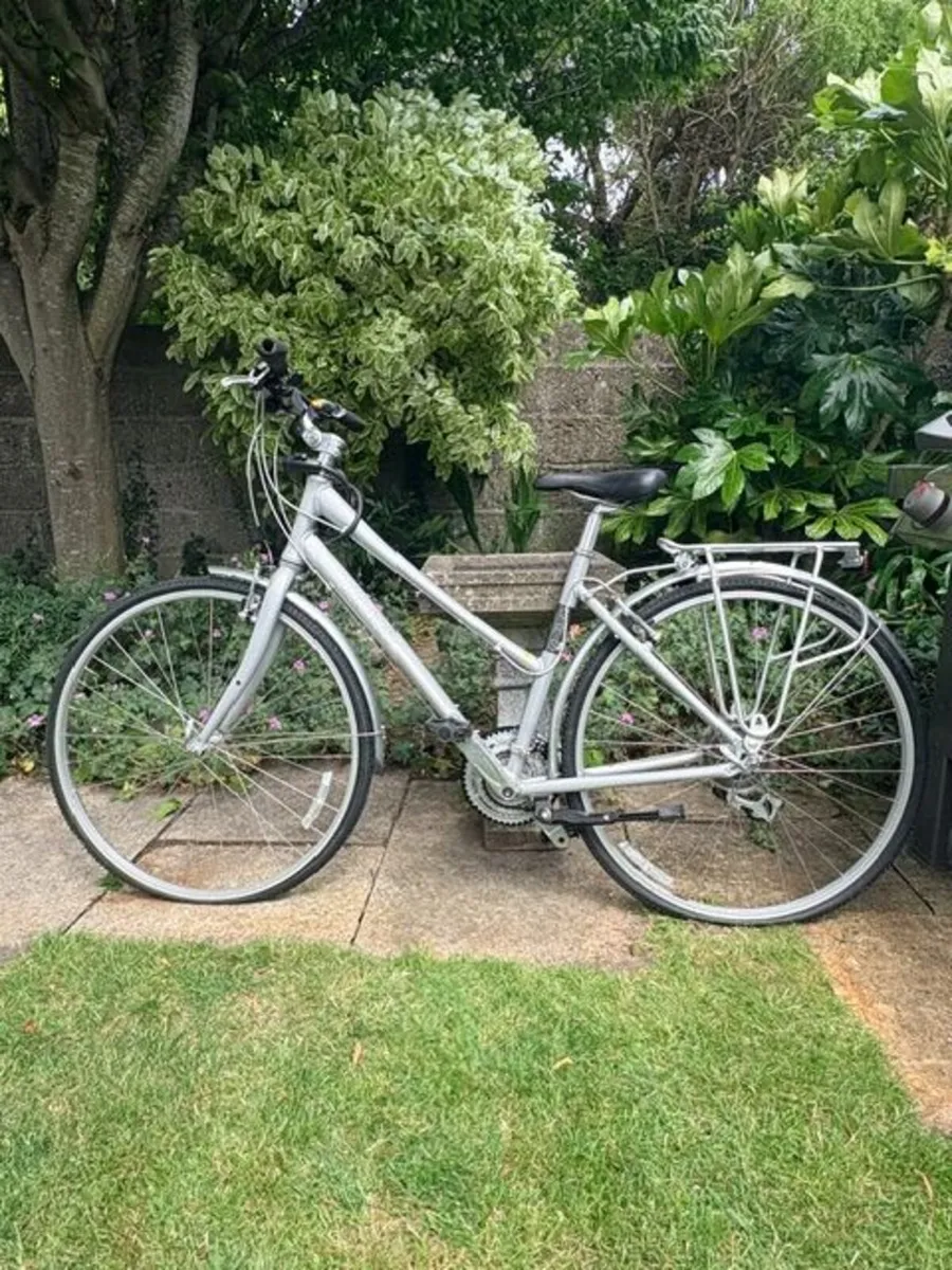 Giant Adult Bike - Image 3