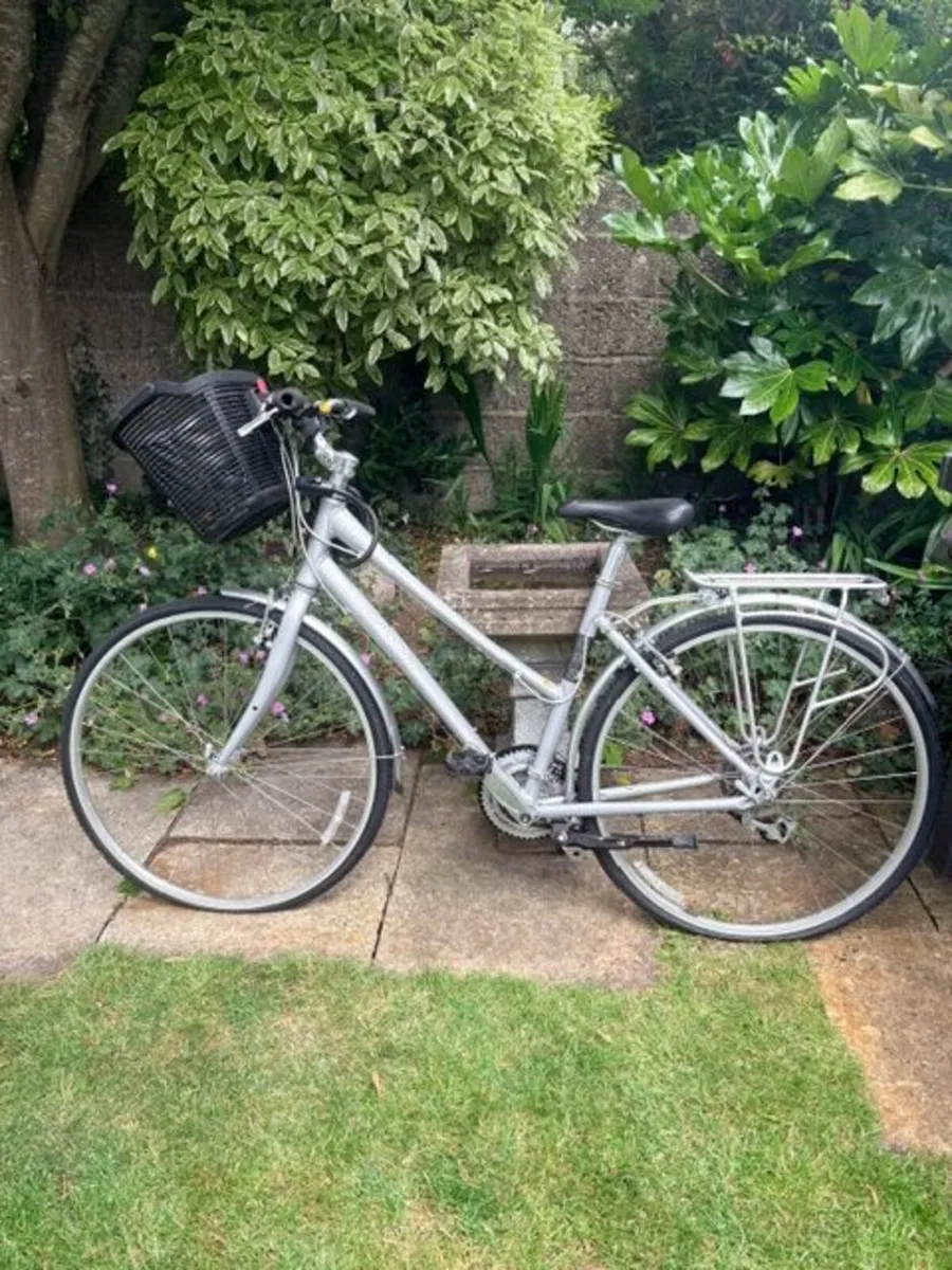 Giant Adult Bike - Image 4