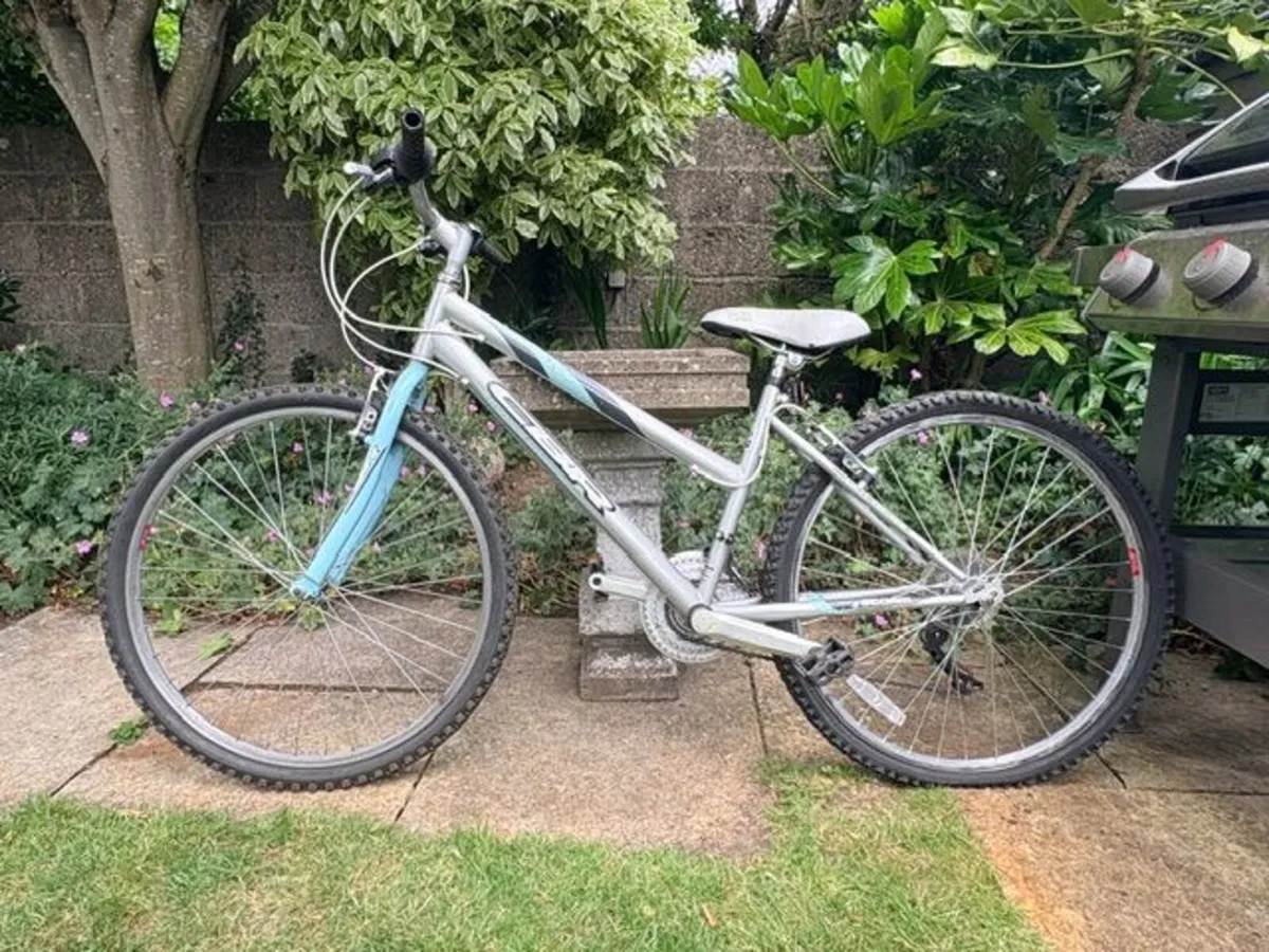 Kid's Bicycle - Image 4