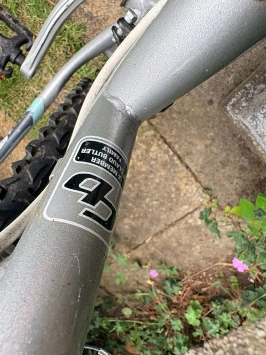 Kid's Bicycle - Image 2