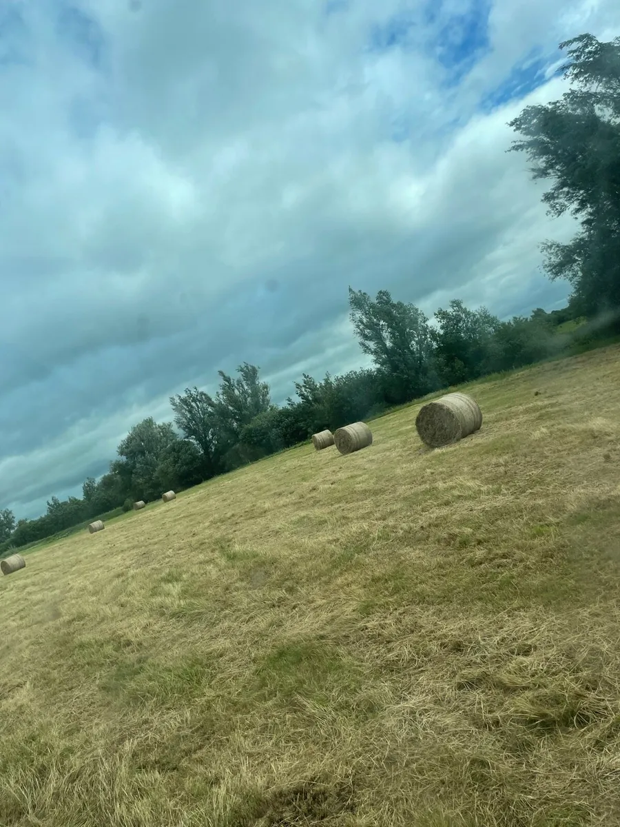 Hay for sale - Image 1
