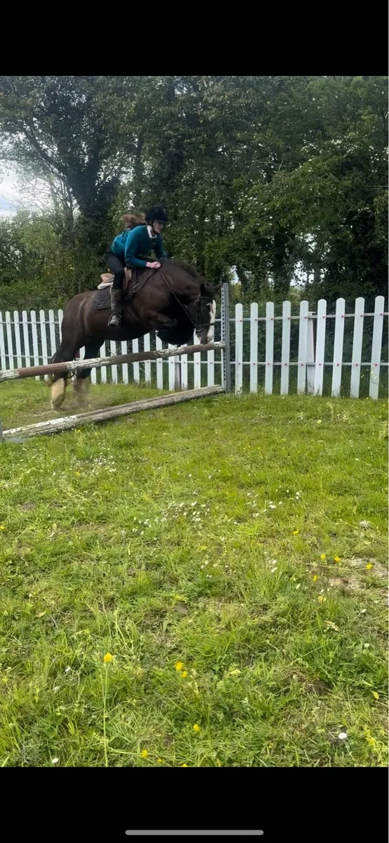 Pony - Image 3