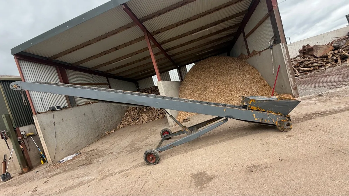 Fyson conveyor - Image 2