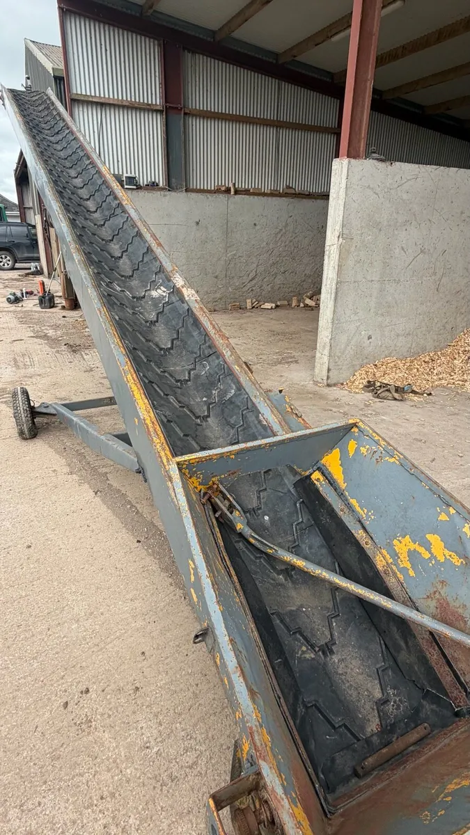 Fyson conveyor - Image 3