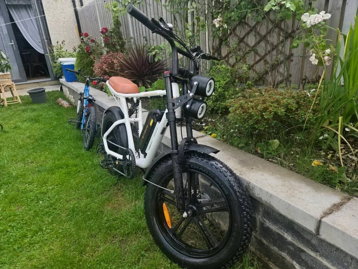 ENGWE M20 - Image 1