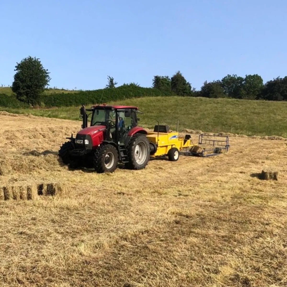 Hay - Small Square Bales - Image 2