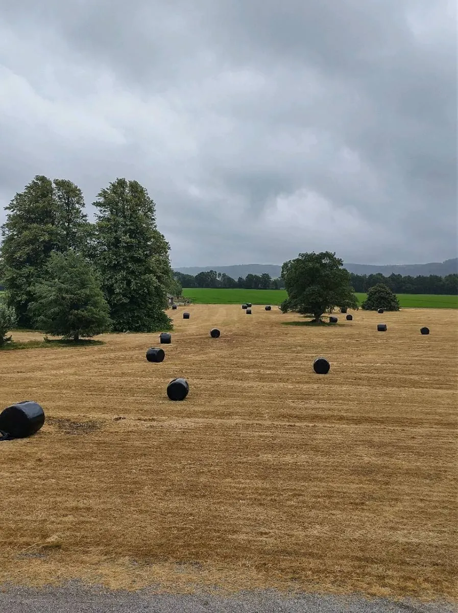Haylage - Image 1