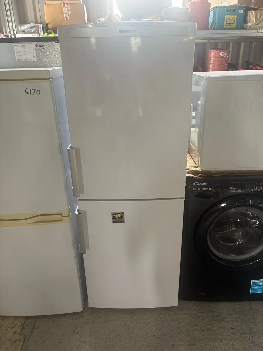 Bloomberg fridge /freezer - Image 1