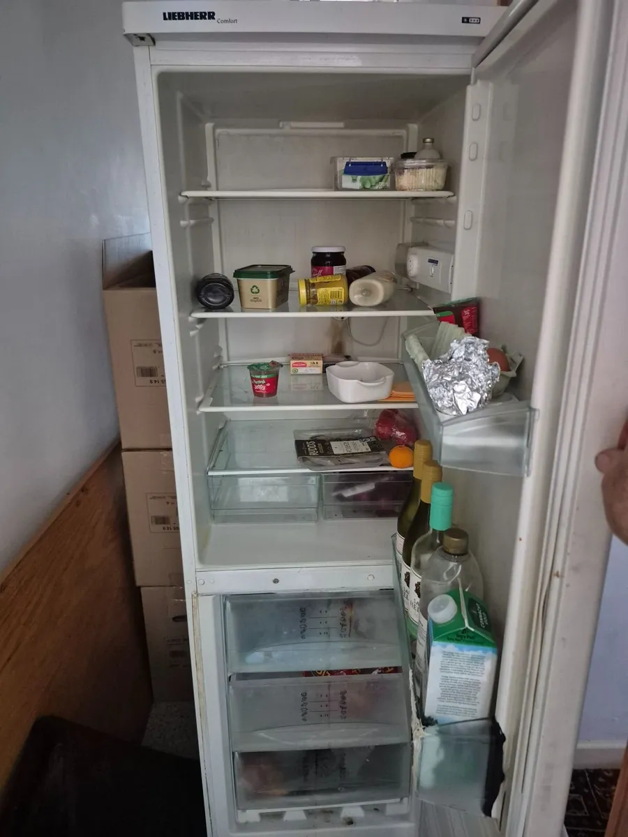 Fridge freezer - Image 2