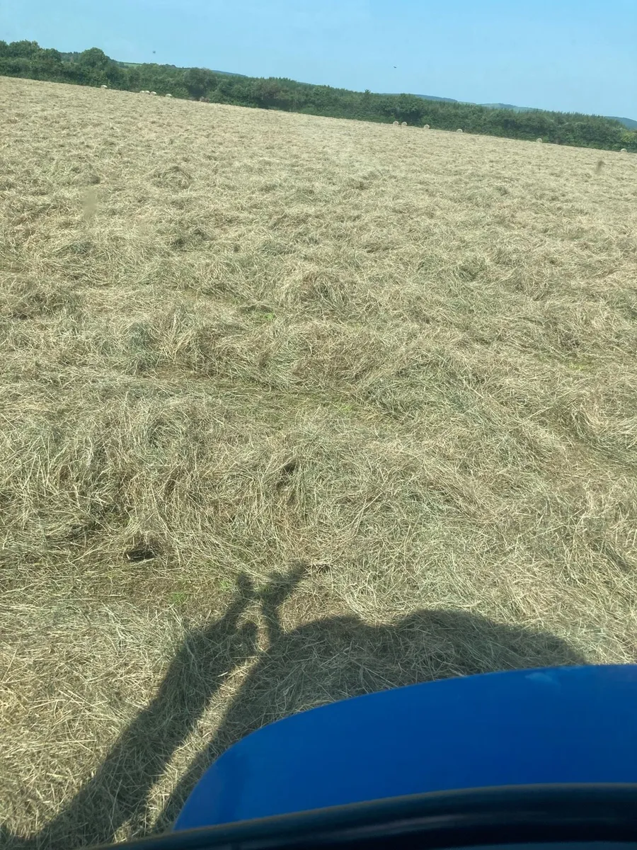 Round 4x4 green Hay, barley straw for sale - Image 1