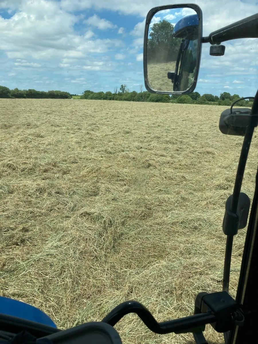 Round 4x4 green Hay, barley straw for sale - Image 3