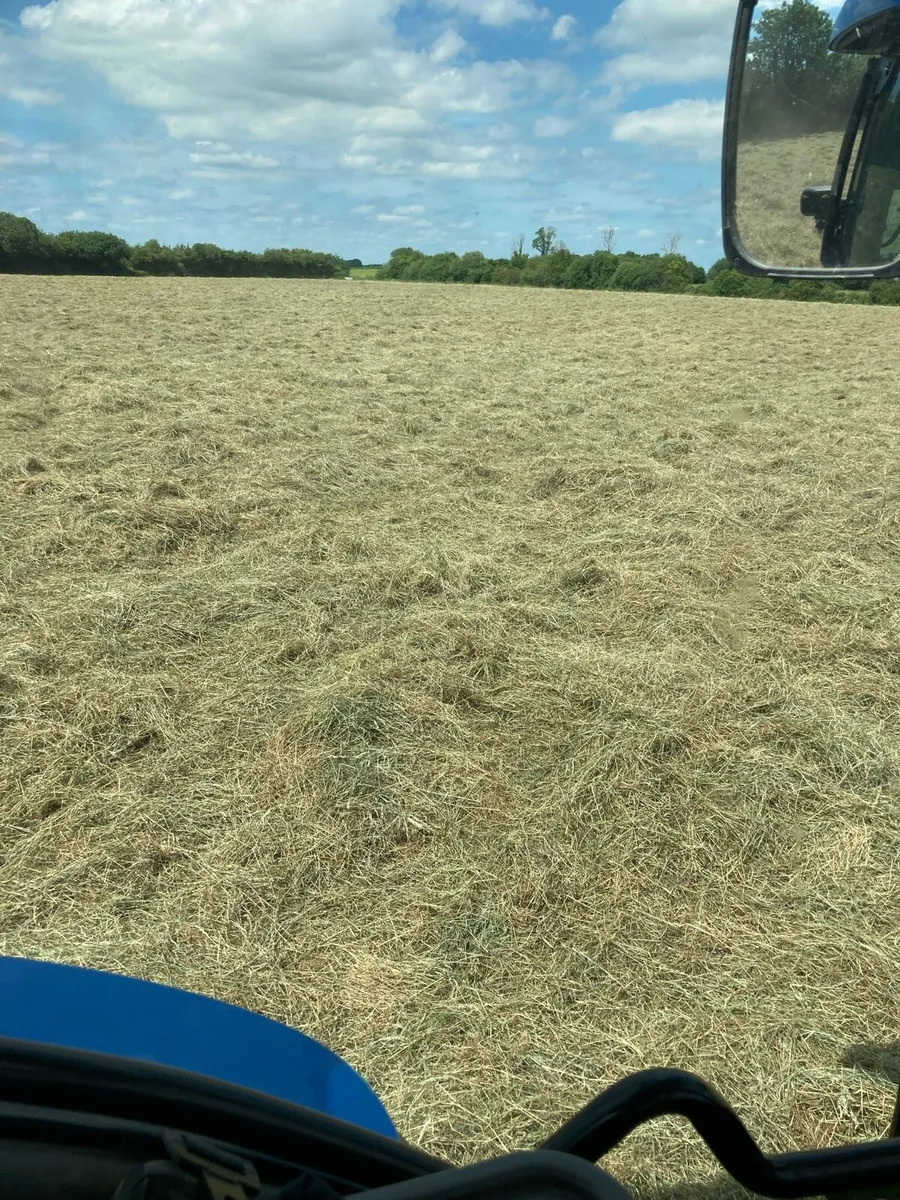 Round 4x4 green Hay, barley straw for sale - Image 4
