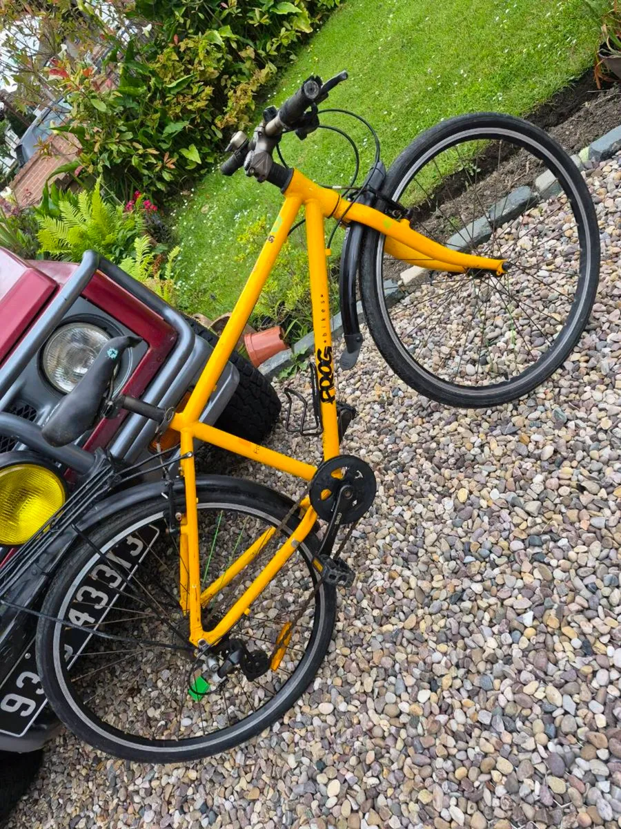 Frog bike - Image 1