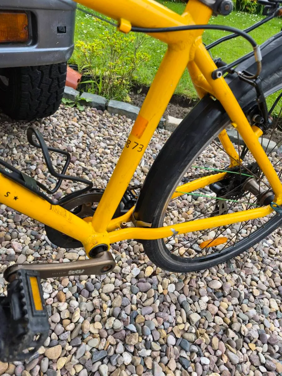 Frog bike - Image 4