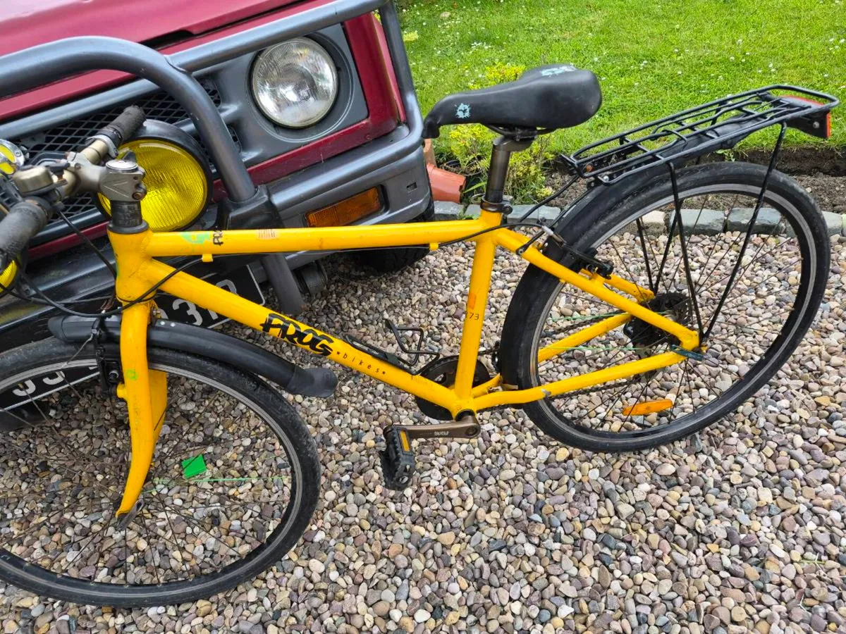 Frog bike - Image 2