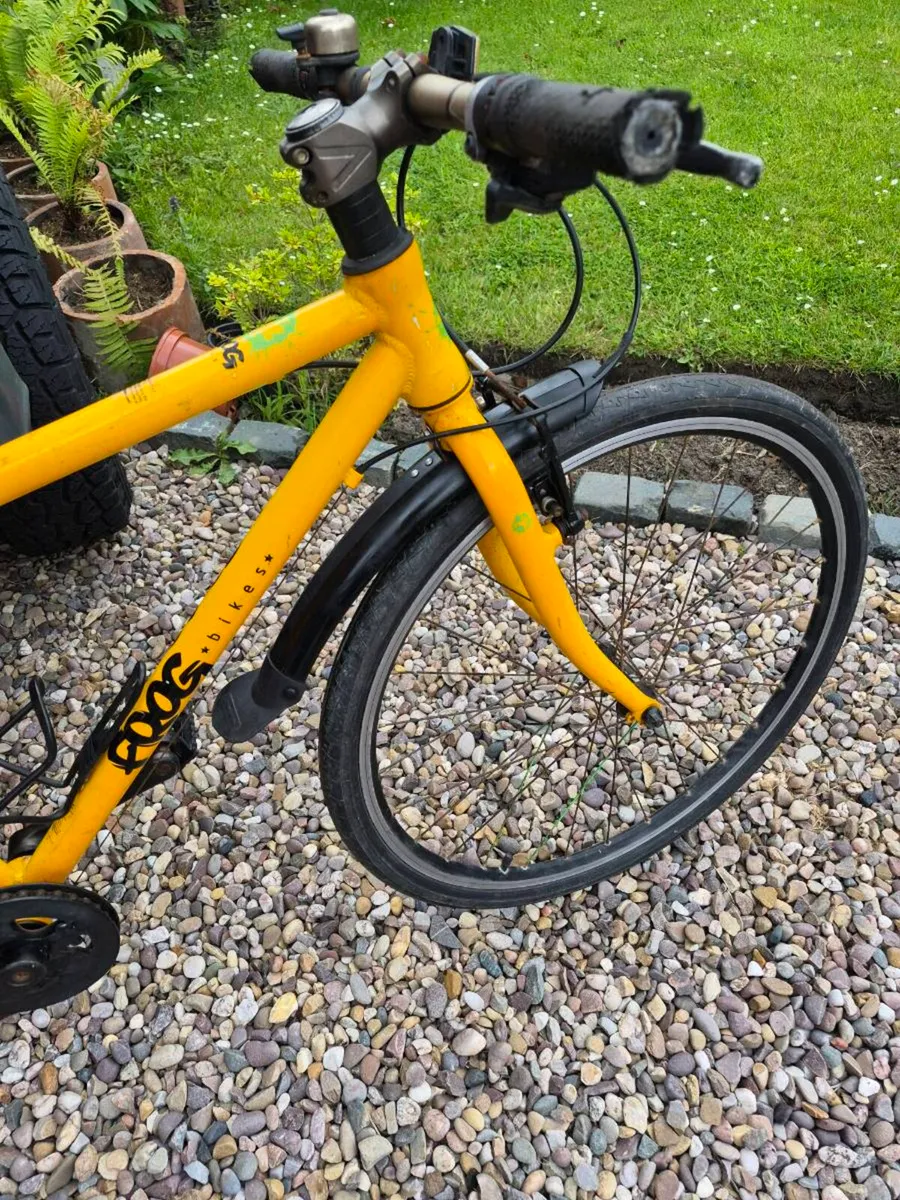 Frog bike - Image 3