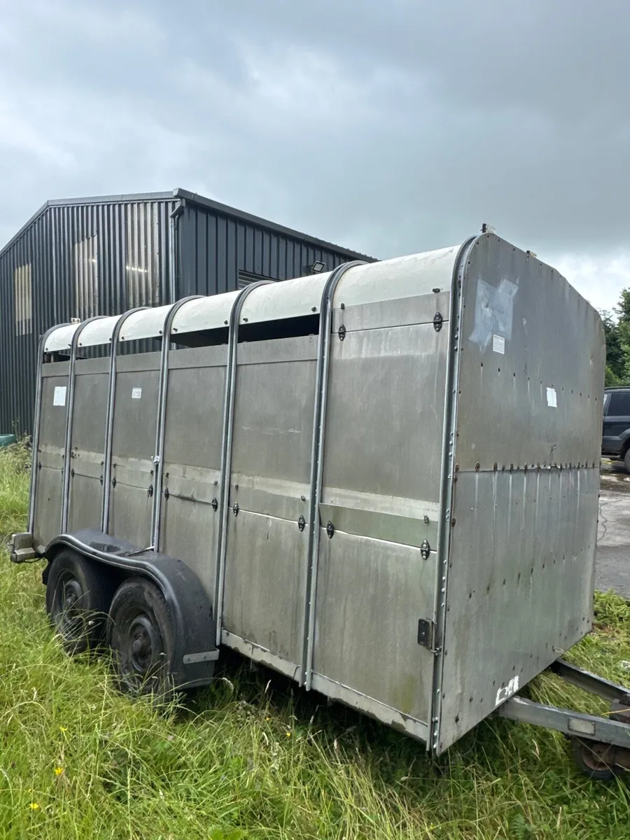 12x6 cattle trailer Ifor Williams - Image 1