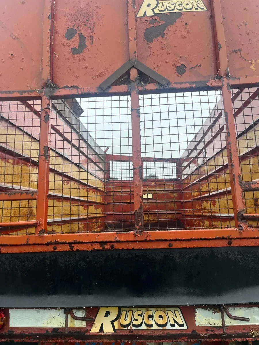 20 ft ruscon - Image 4