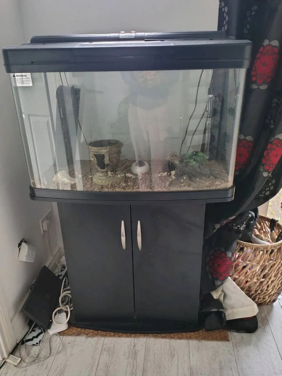 Large Fish Pod Aquarium with Cabinet - Image 2