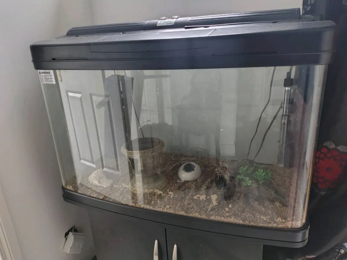Large Fish Pod Aquarium with Cabinet - Image 3