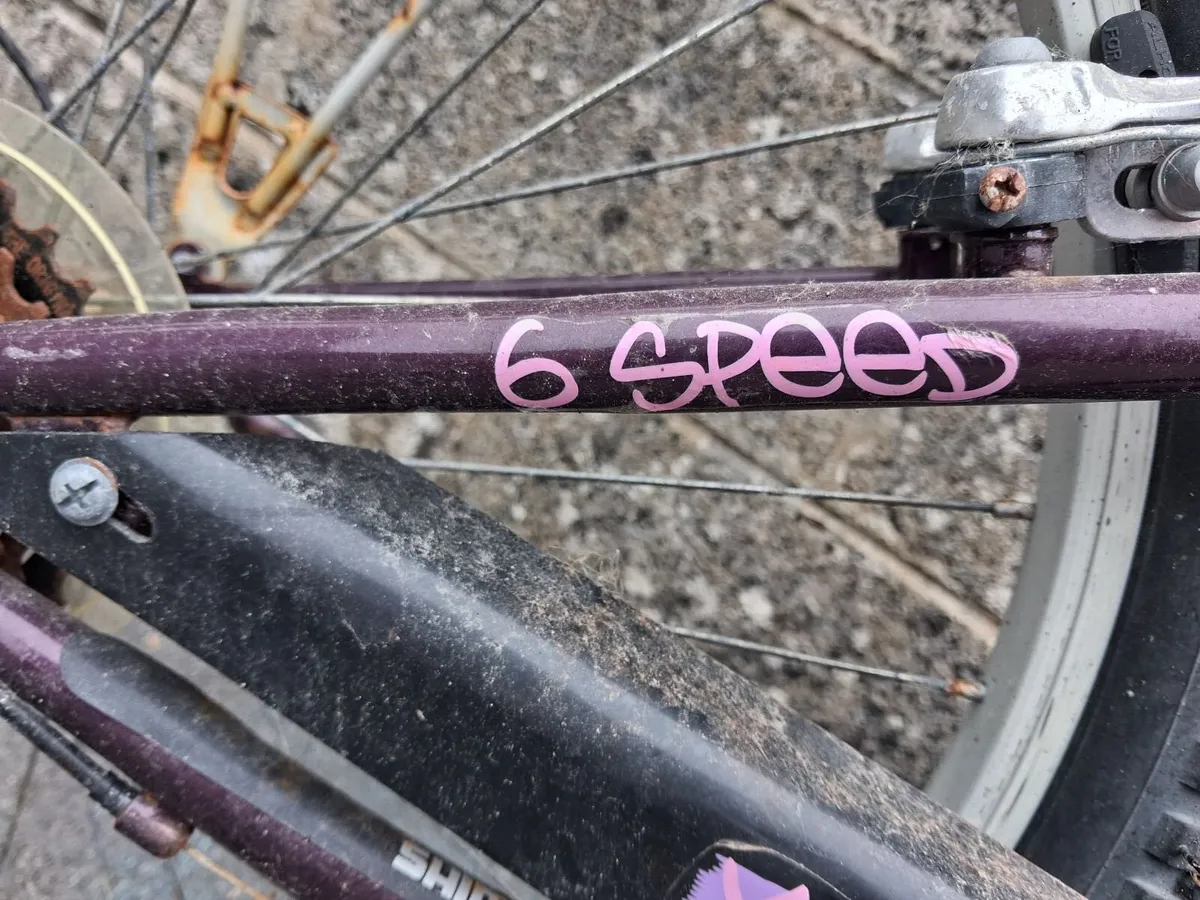 Girls Bicycle - Image 4