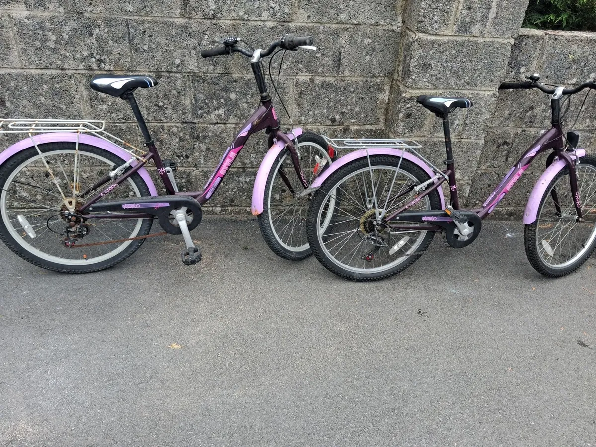 Girls Bicycle - Image 3