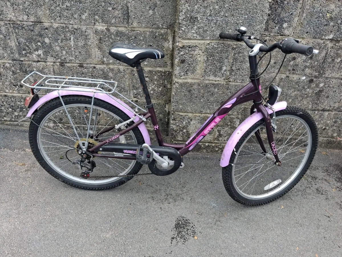 Girls Bicycle - Image 2
