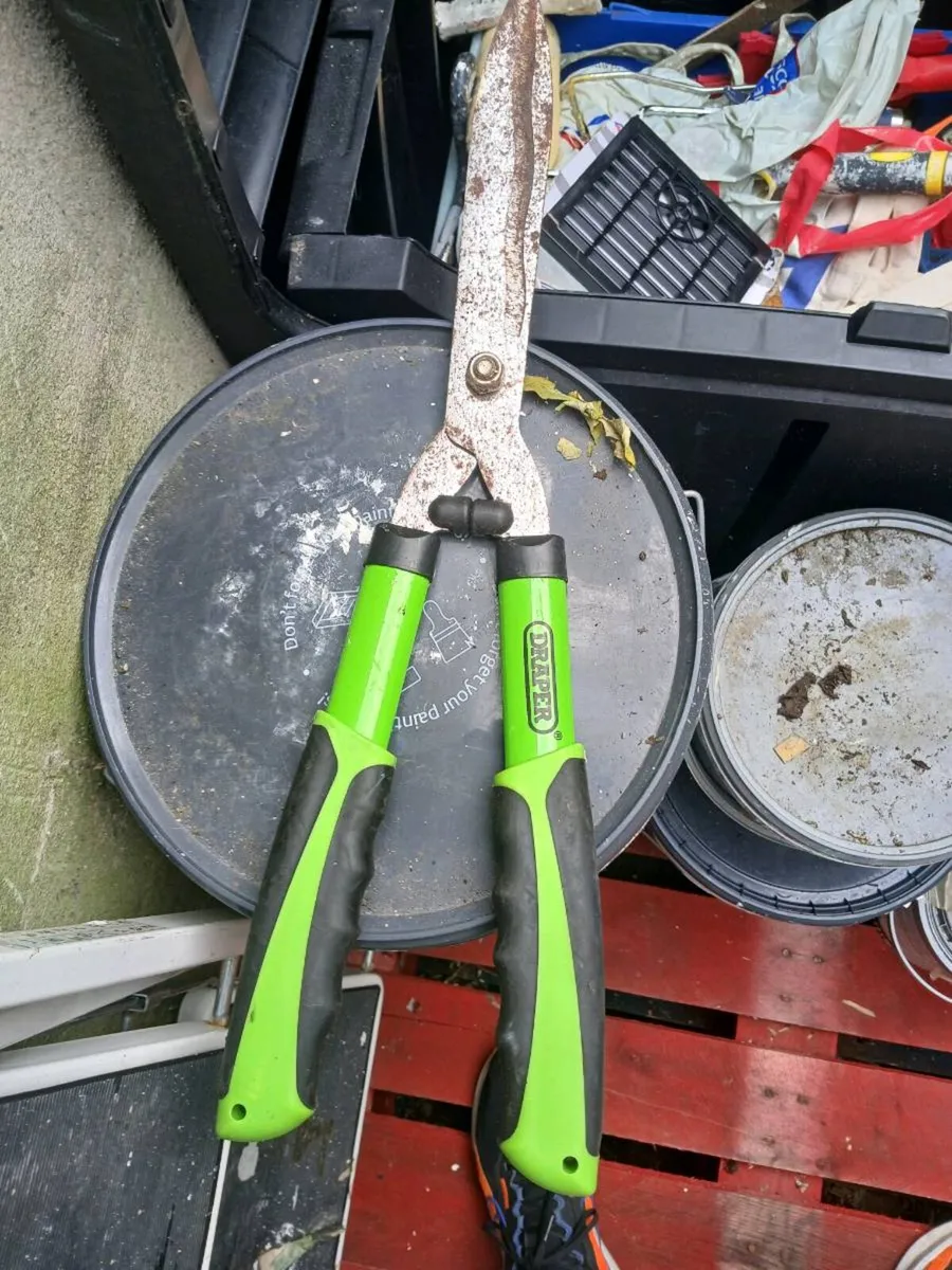 Hedge cutter - Image 2