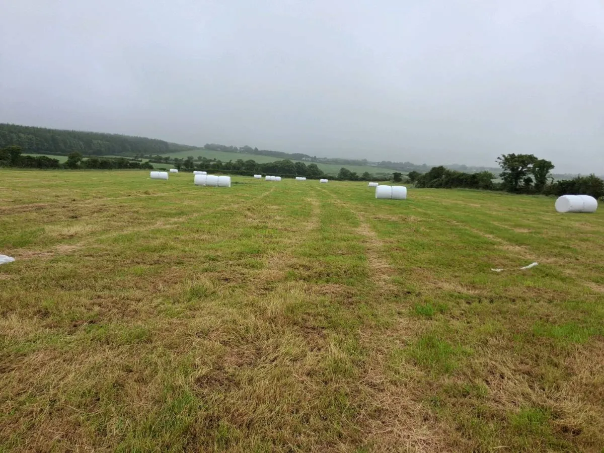 Haylage - Image 4