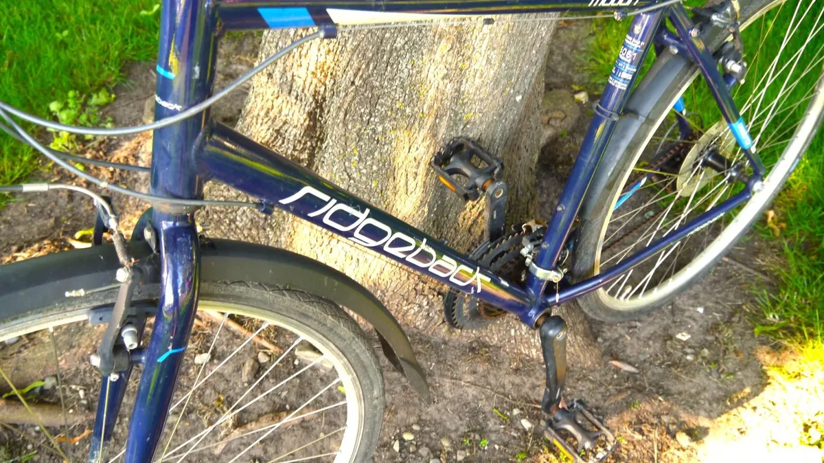 Ridgeback Motion Hybrid - 21" frame - Image 3