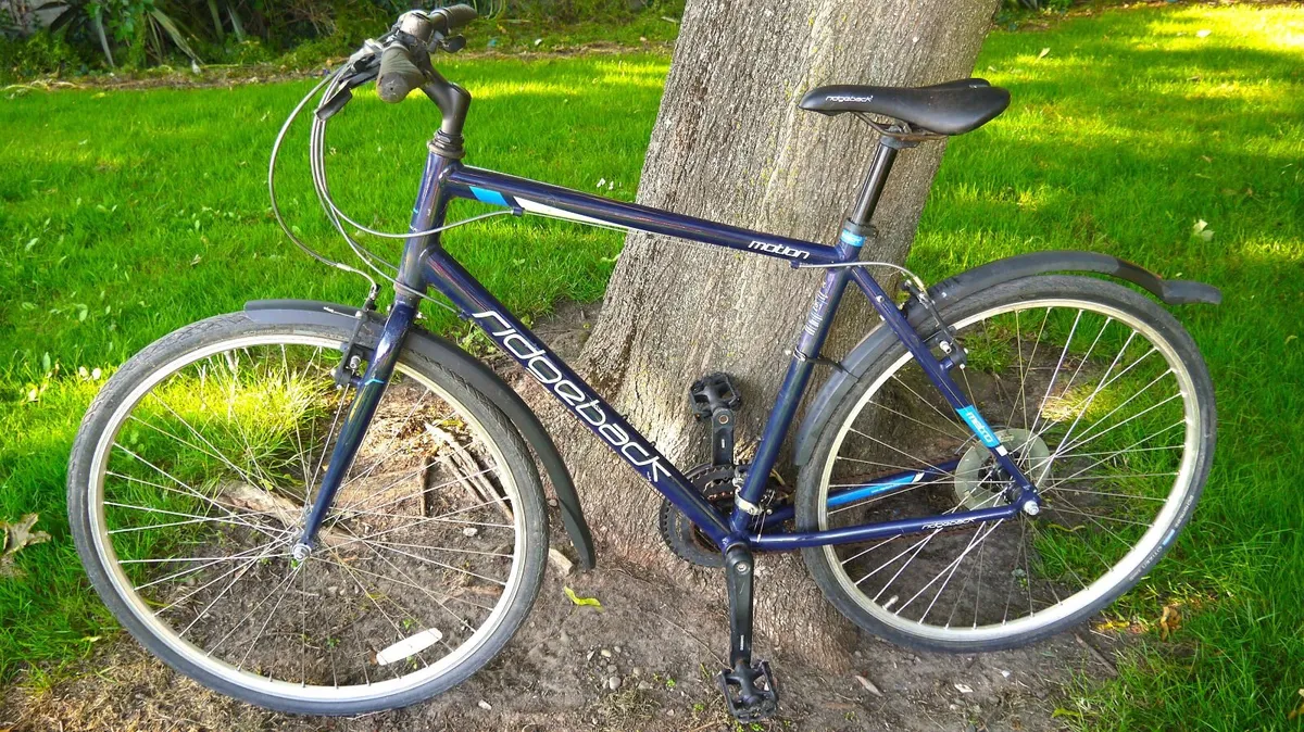 Ridgeback Motion Hybrid - 21" frame - Image 4