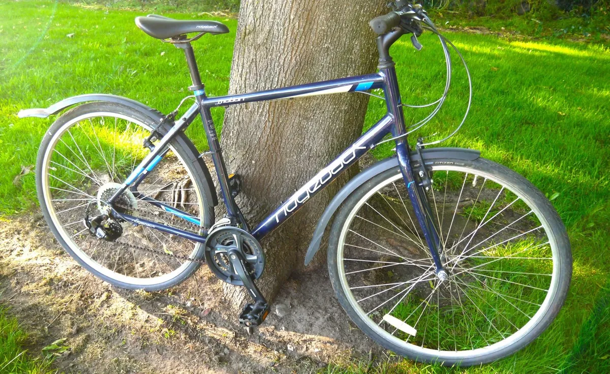 Ridgeback Motion Hybrid - 21" frame - Image 1