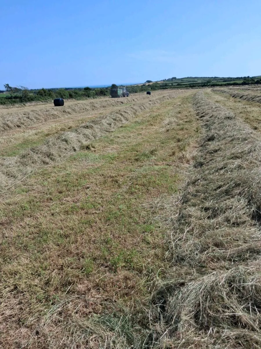 Haylage - Image 2