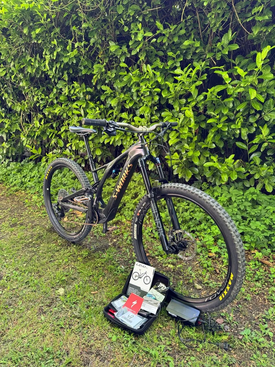 Electric S Works Levo SL - Image 1