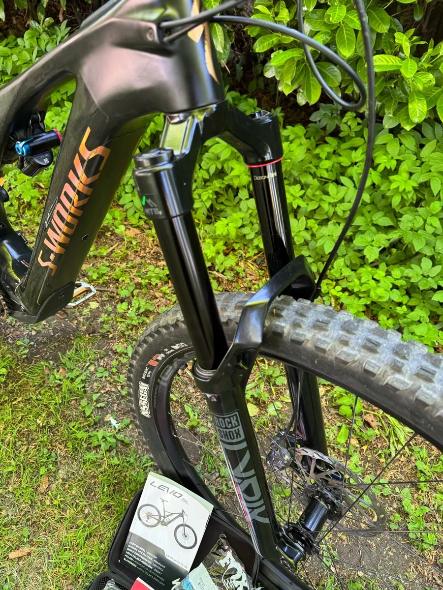Electric S Works Levo SL - Image 2