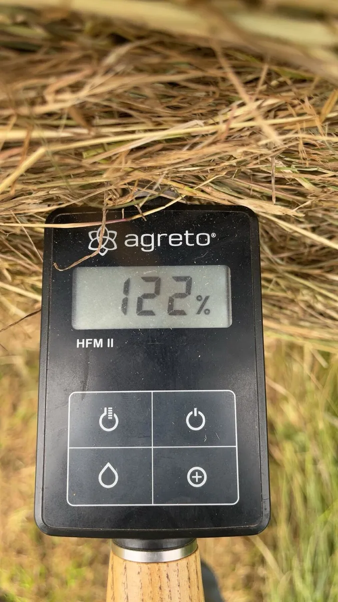 2026 hay - Image 3
