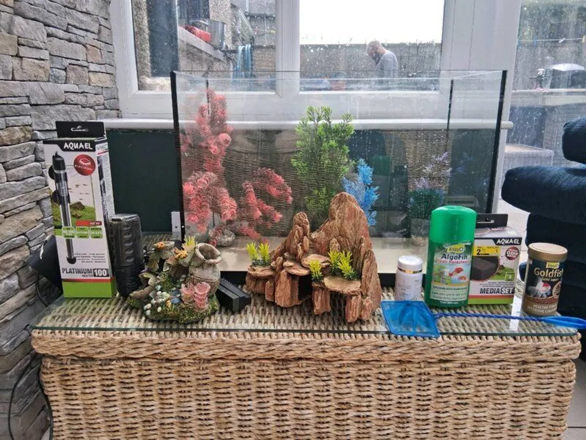 Fish tank with ornaments filters and heater. Food - Image 1